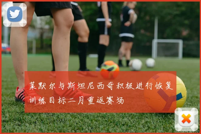 莱默尔与斯坦尼西奇积极进行恢复训练目标二月重返赛场