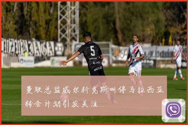曼联总监威尔科克斯叫停马拉西亚转会计划引发关注